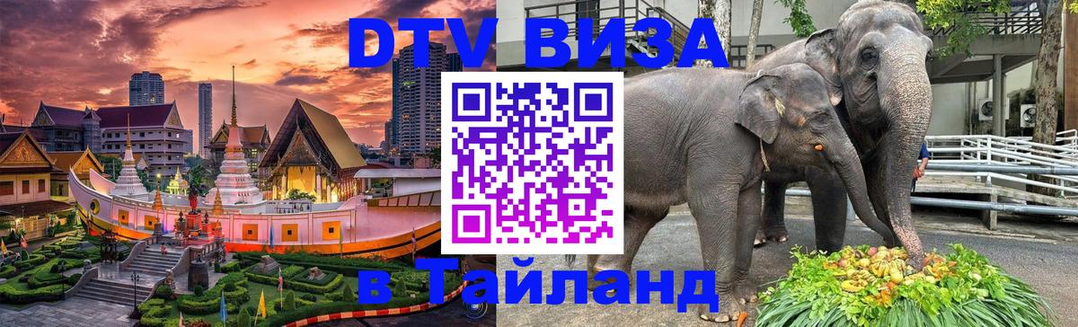 Сколько стоит DTV виза — актуальные цены, оформление даже без документов - Таллин  05.10.2025 